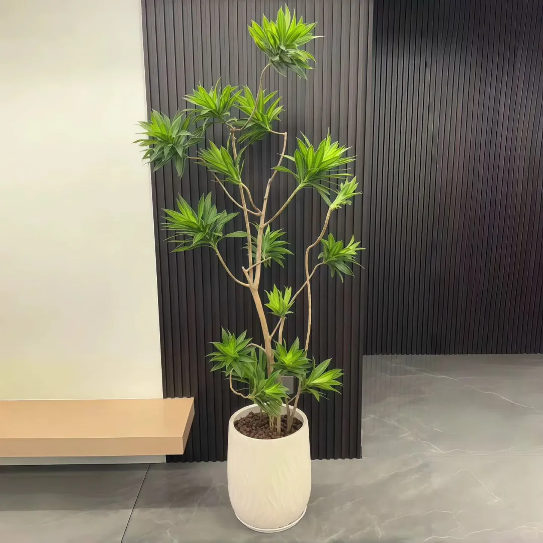 深圳绿植租赁批发，可上门设计出方案。