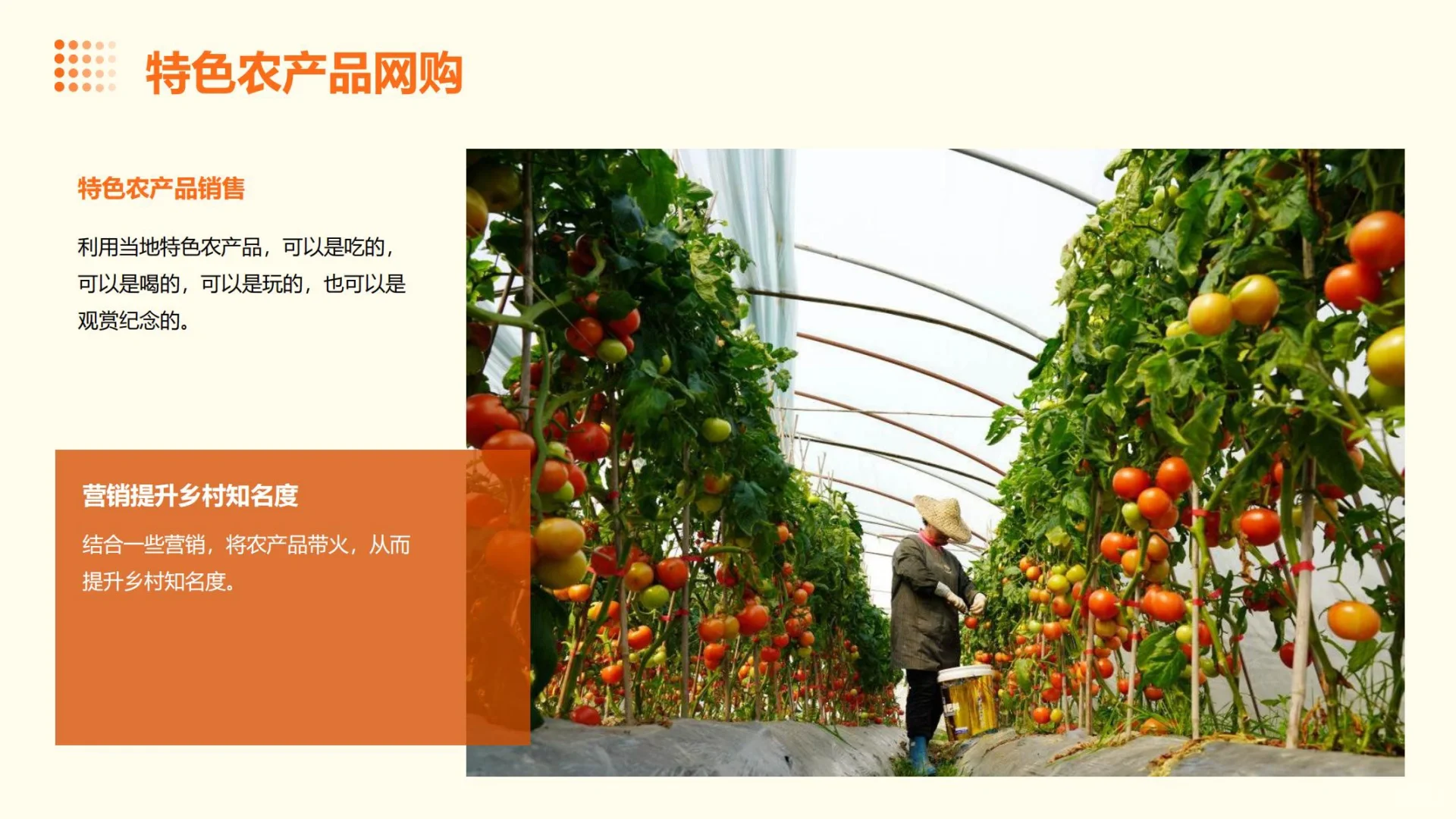 新农村建设，超火?的8个创业方向