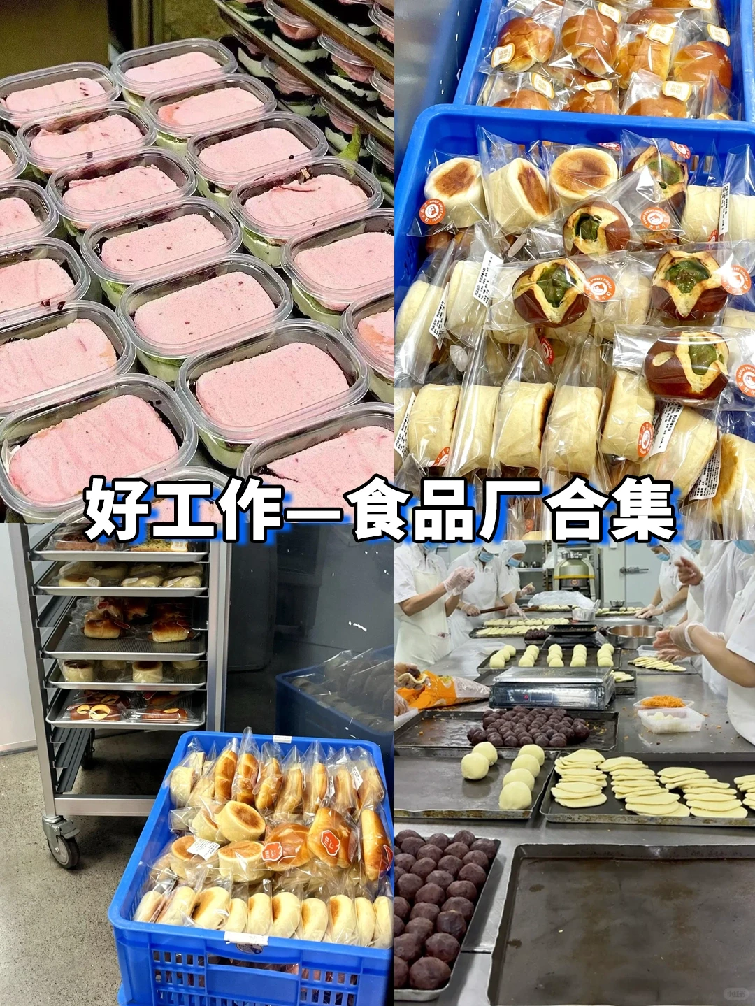 食品厂合集来了！