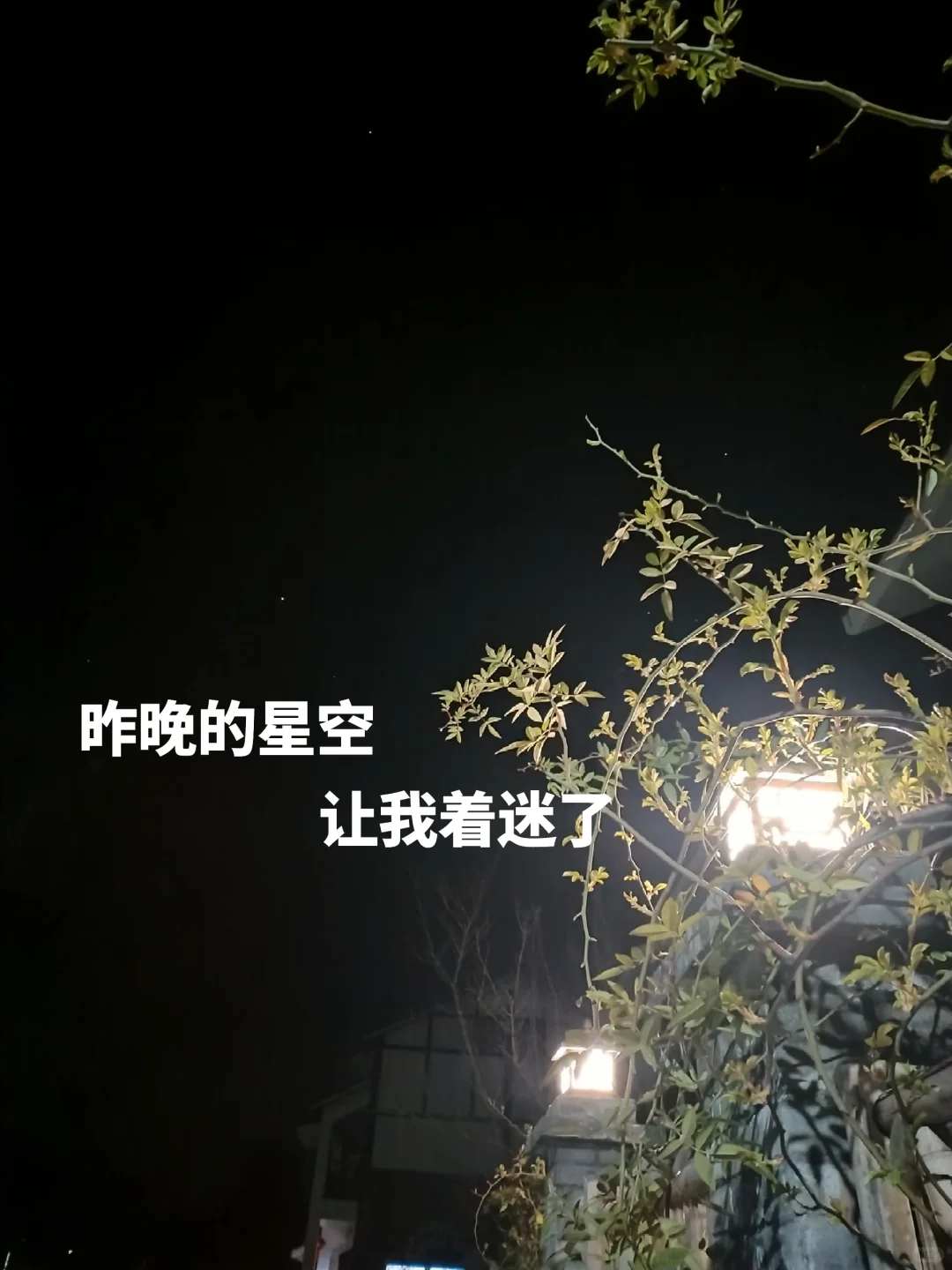 ?四十而已，看我5W 主理民宿｜精彩乡村