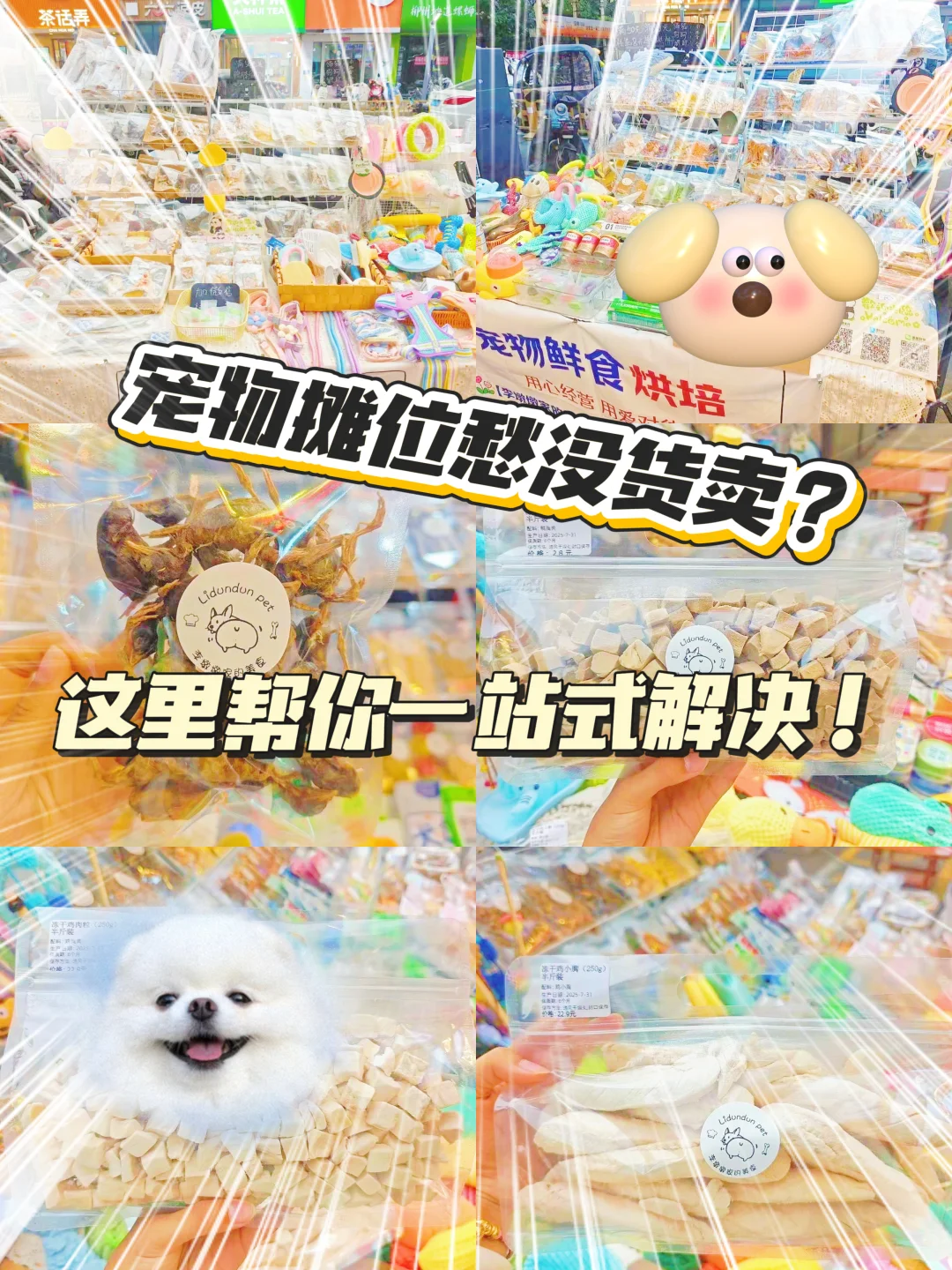 宠物摊位没货卖？这里帮你一站式解决！