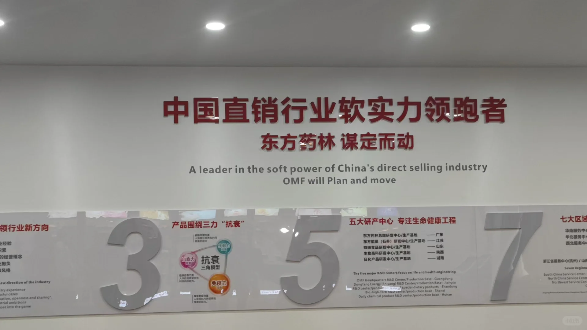 东方药林-大健康