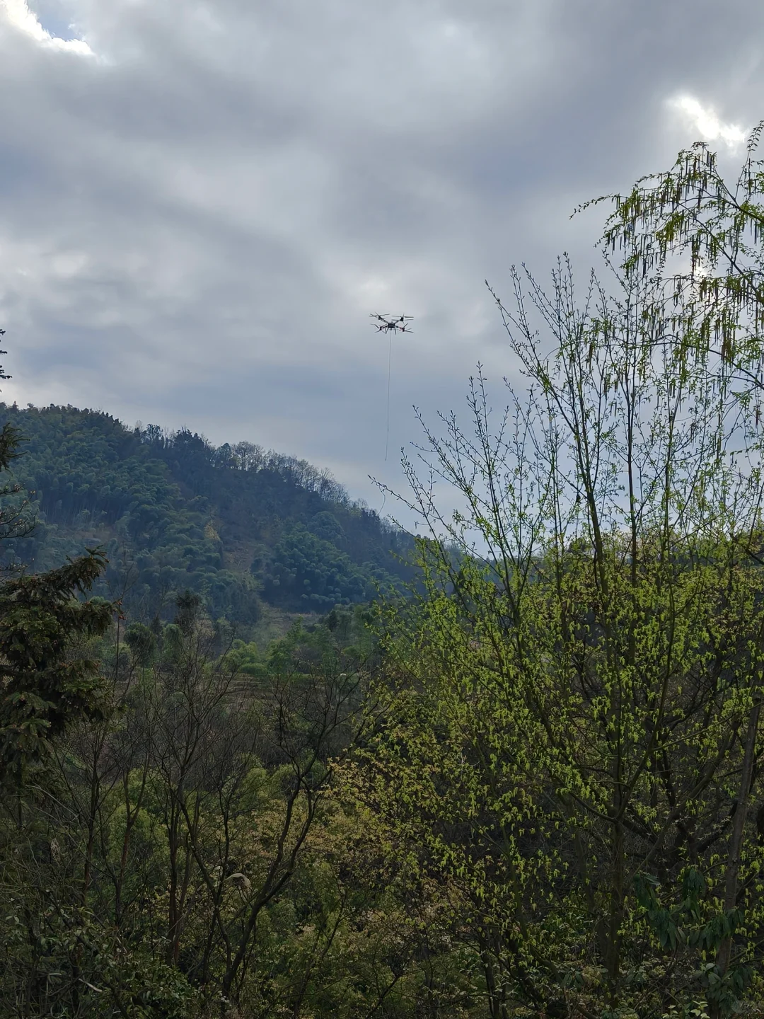 云南无人机吊运深山里的竹子