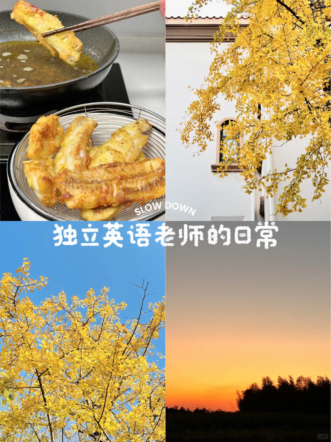 独立英语老师日常「学会吸收能量」