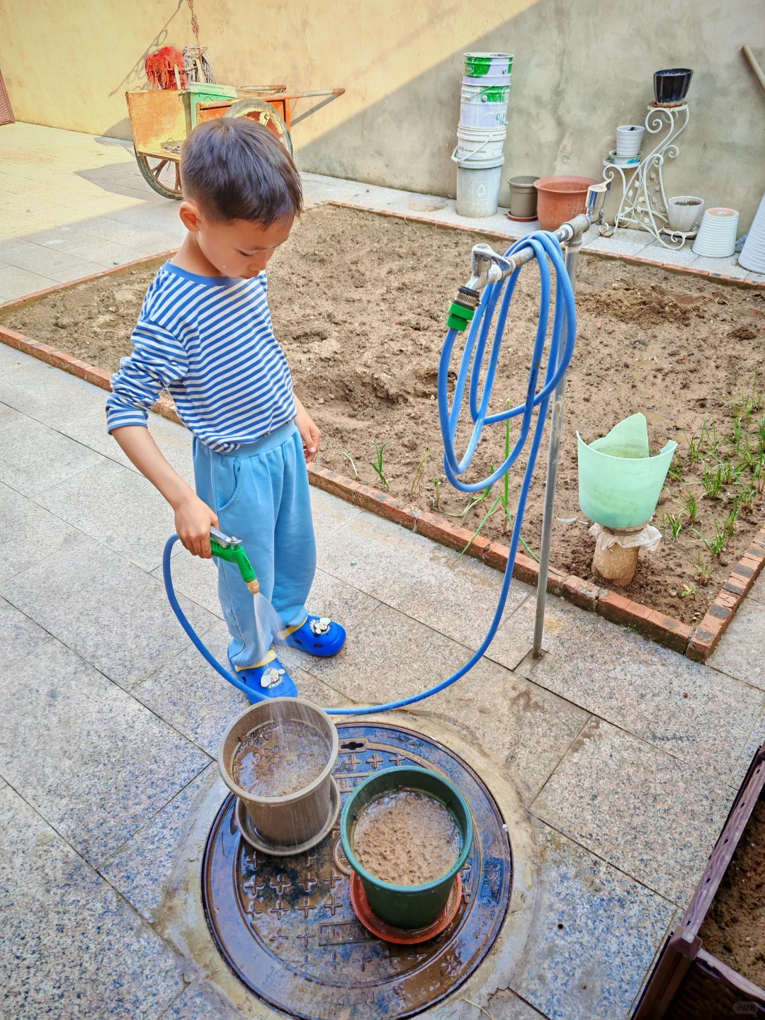 夏天到了，种点花吧！