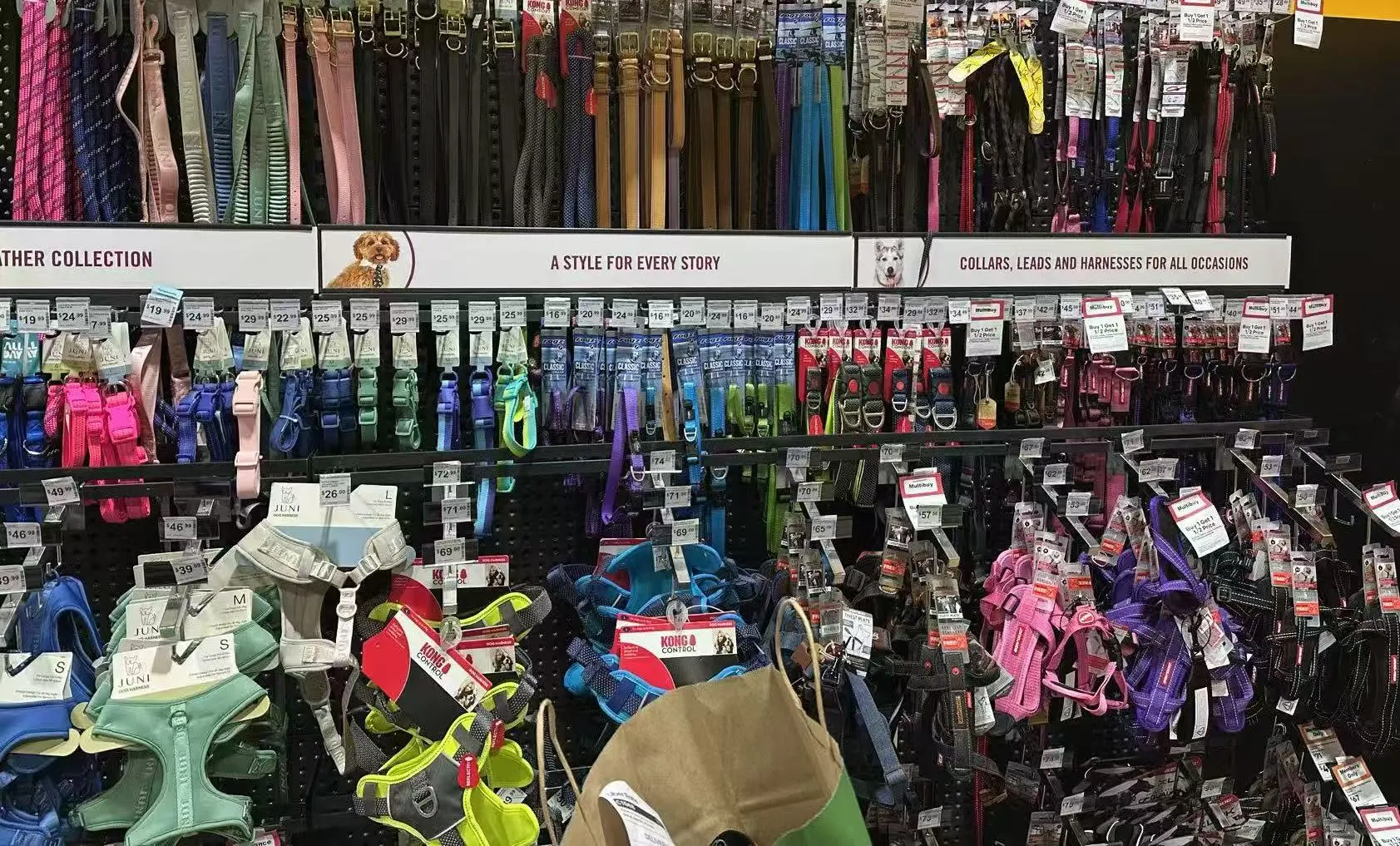 ??澳洲连锁宠物探店?