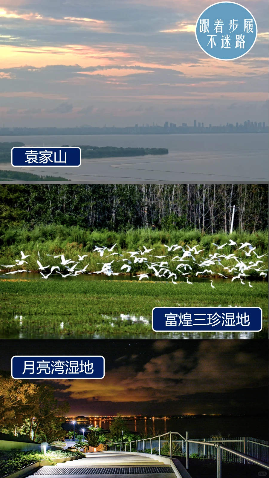 假日躺“营”计划发布丨环巢湖免费露营地图