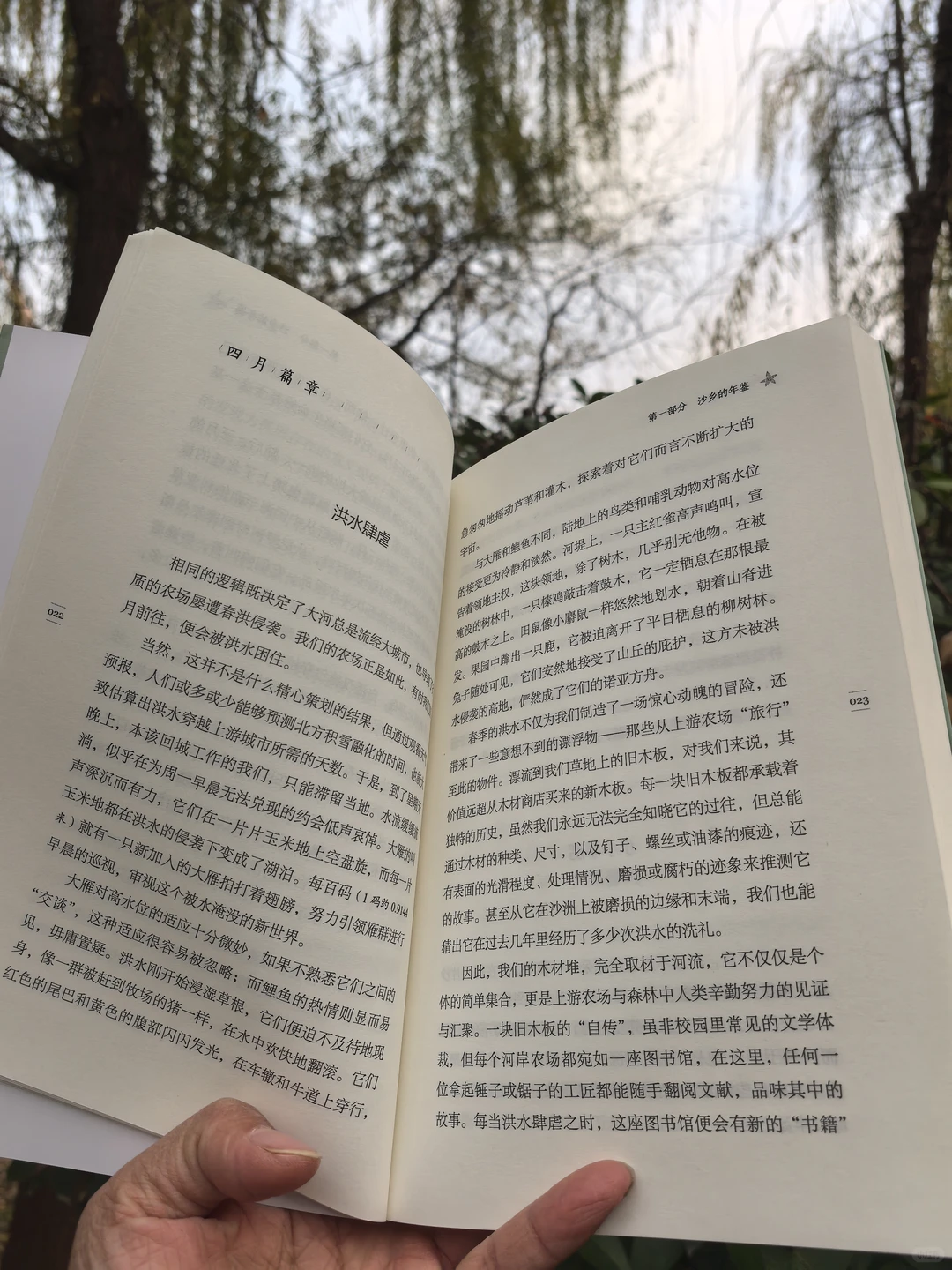 沙乡年鉴