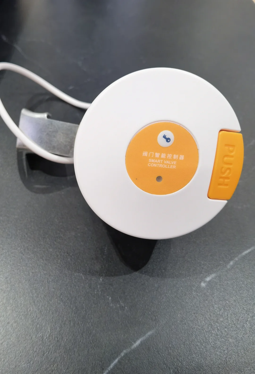 无忧无虑出门玩耍,全靠它俩