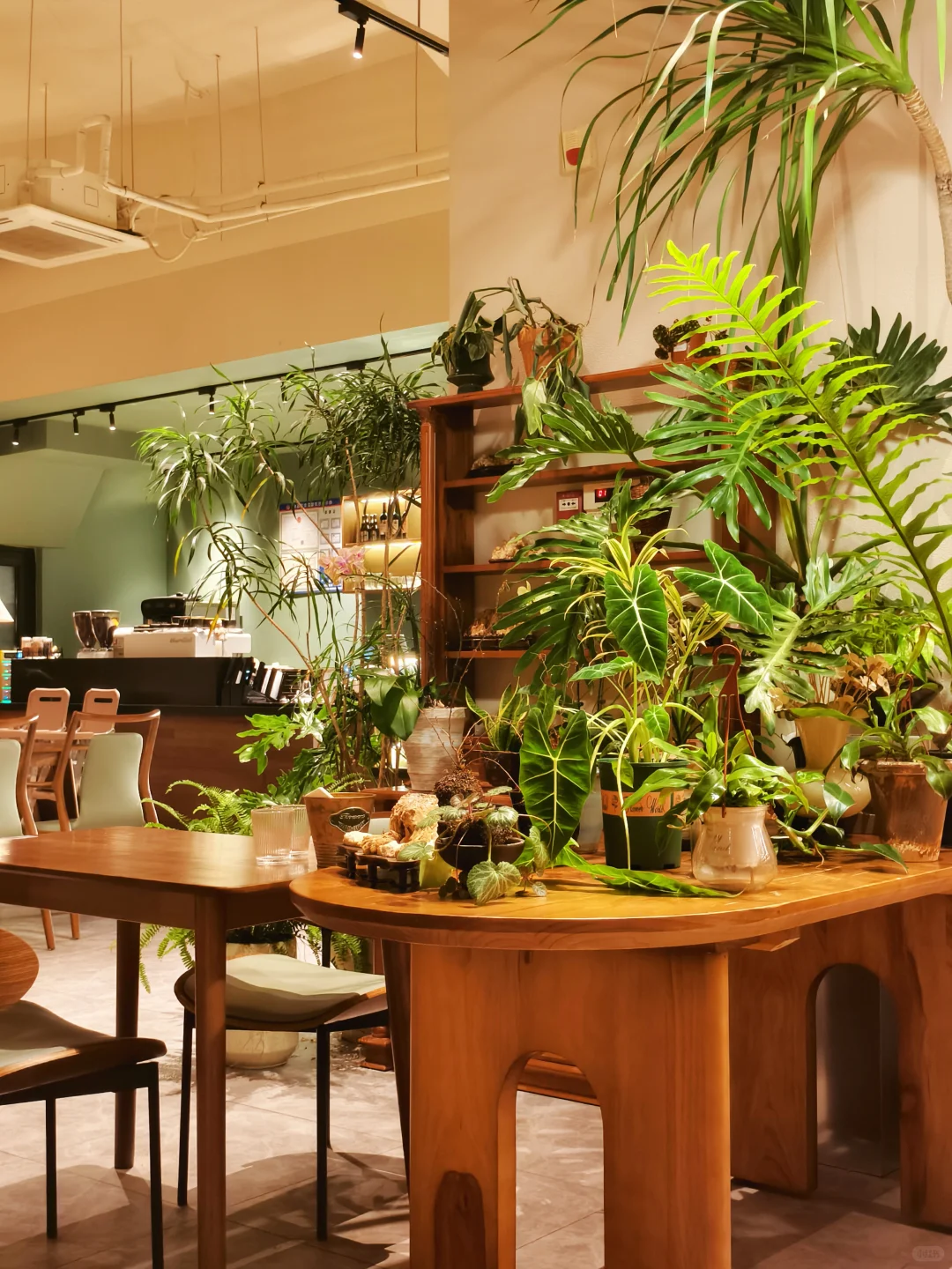 早睡13日|适合带每个crush去的花园餐厅