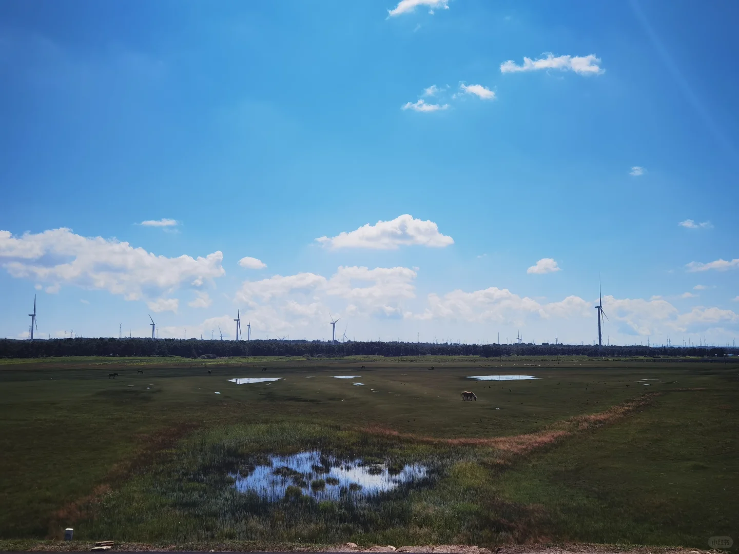 ＃免费 免费 免费公交＃