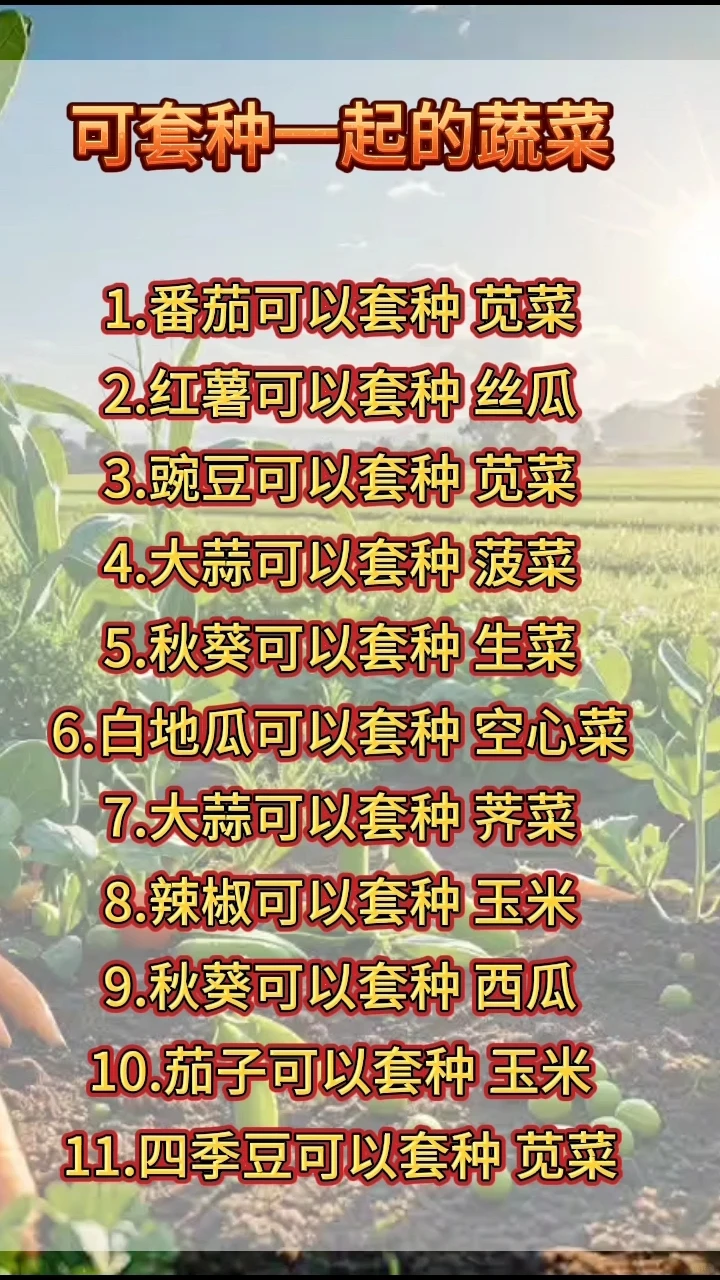 快收好10张蔬菜套种图随时备用种好蔬菜