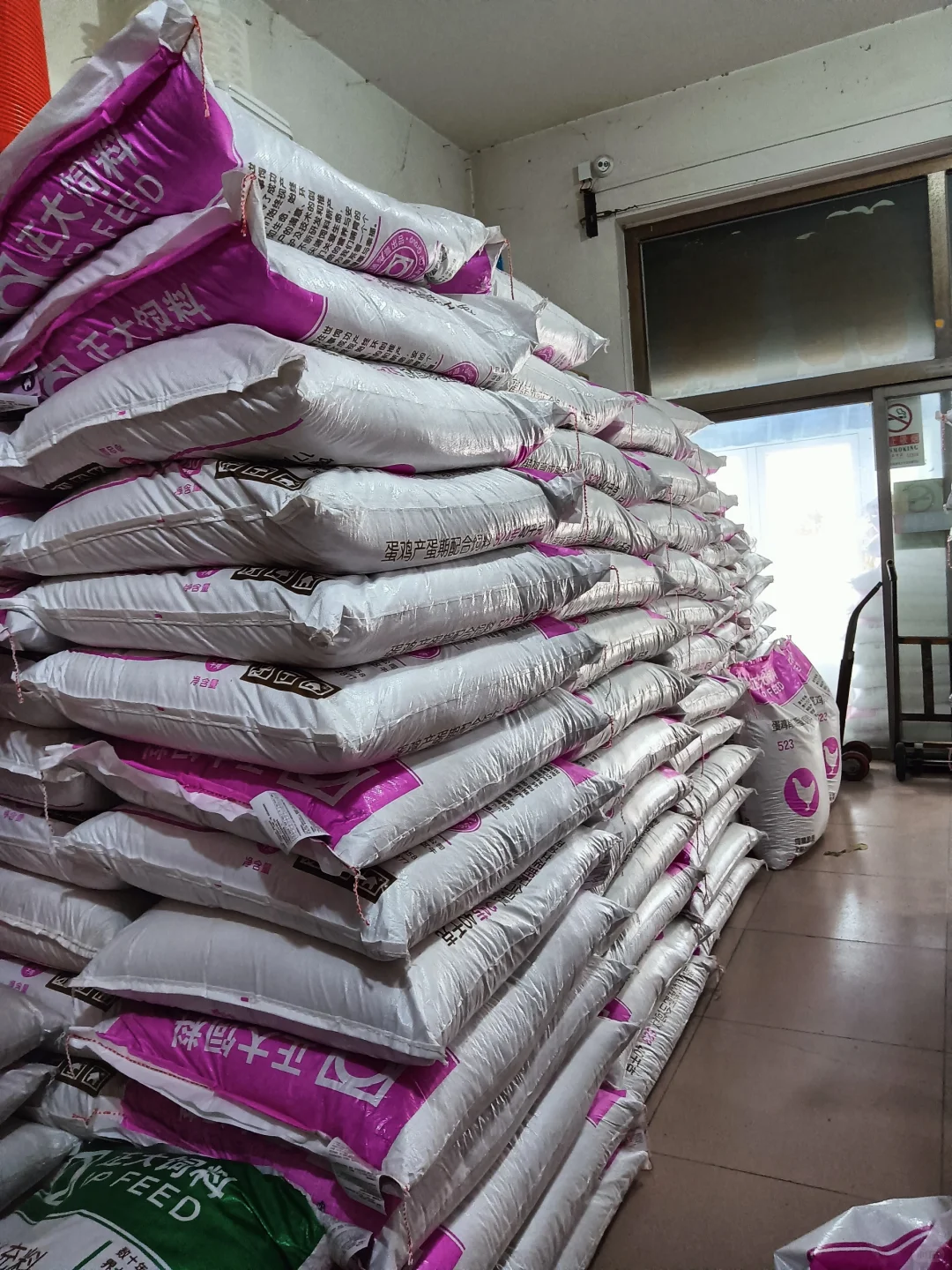 想要鸡产蛋稳定就用这款饲料