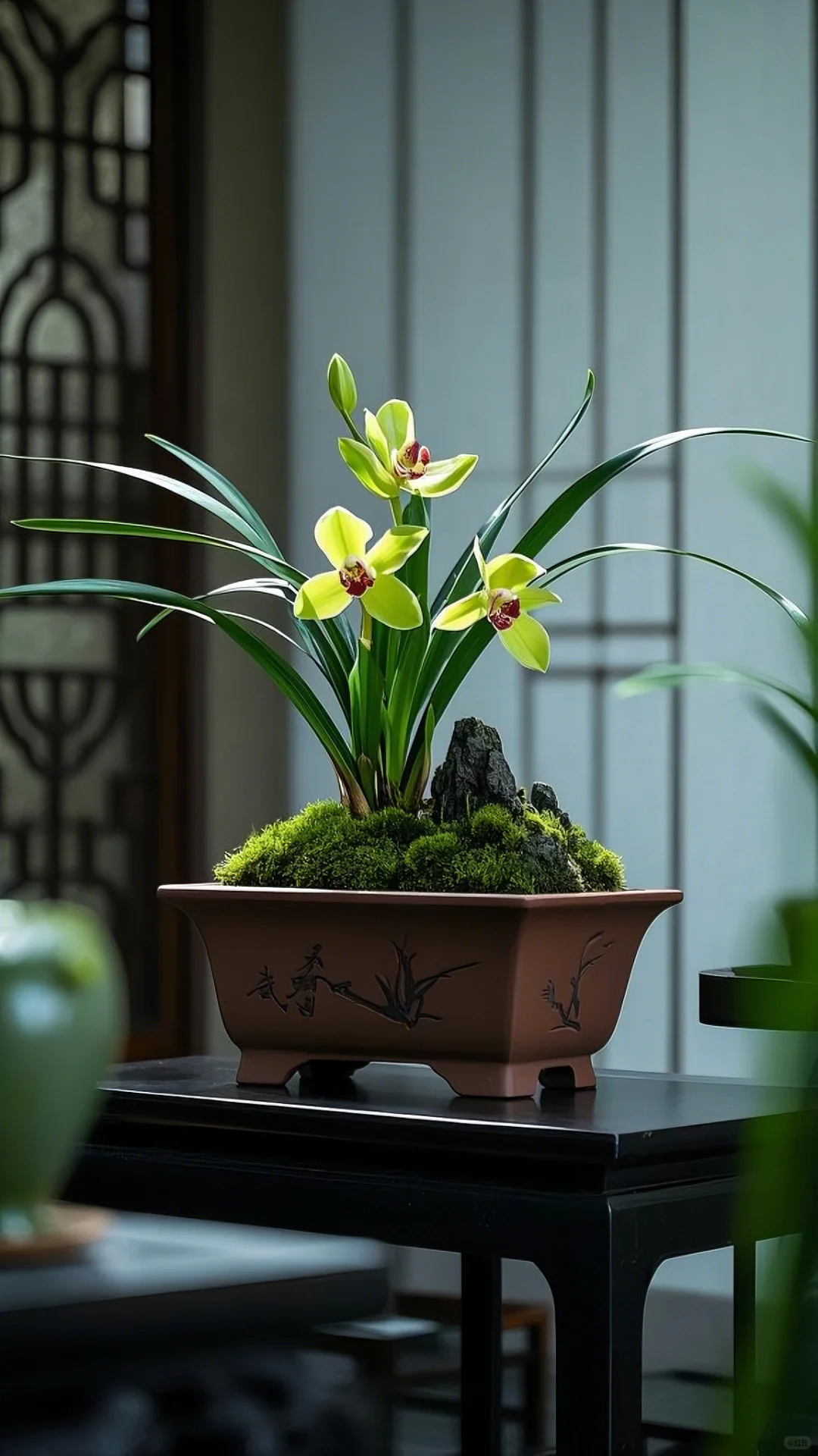 最美不过兰花