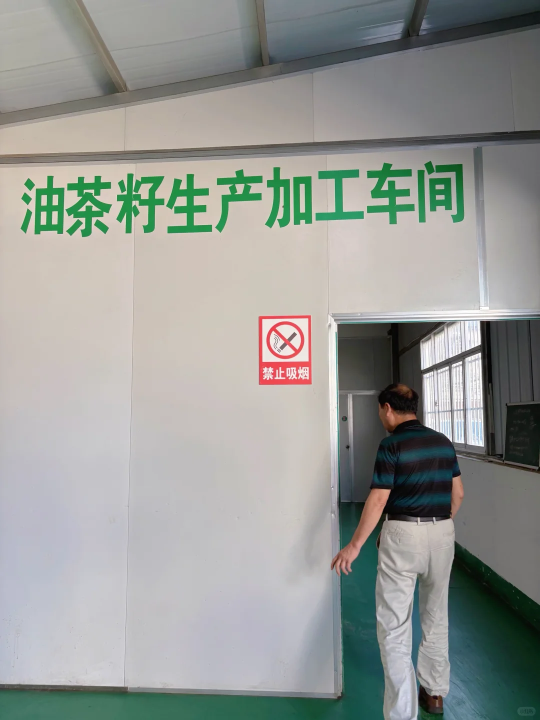 ?6000亩云雾油茶林｜问顶康源溯源之旅