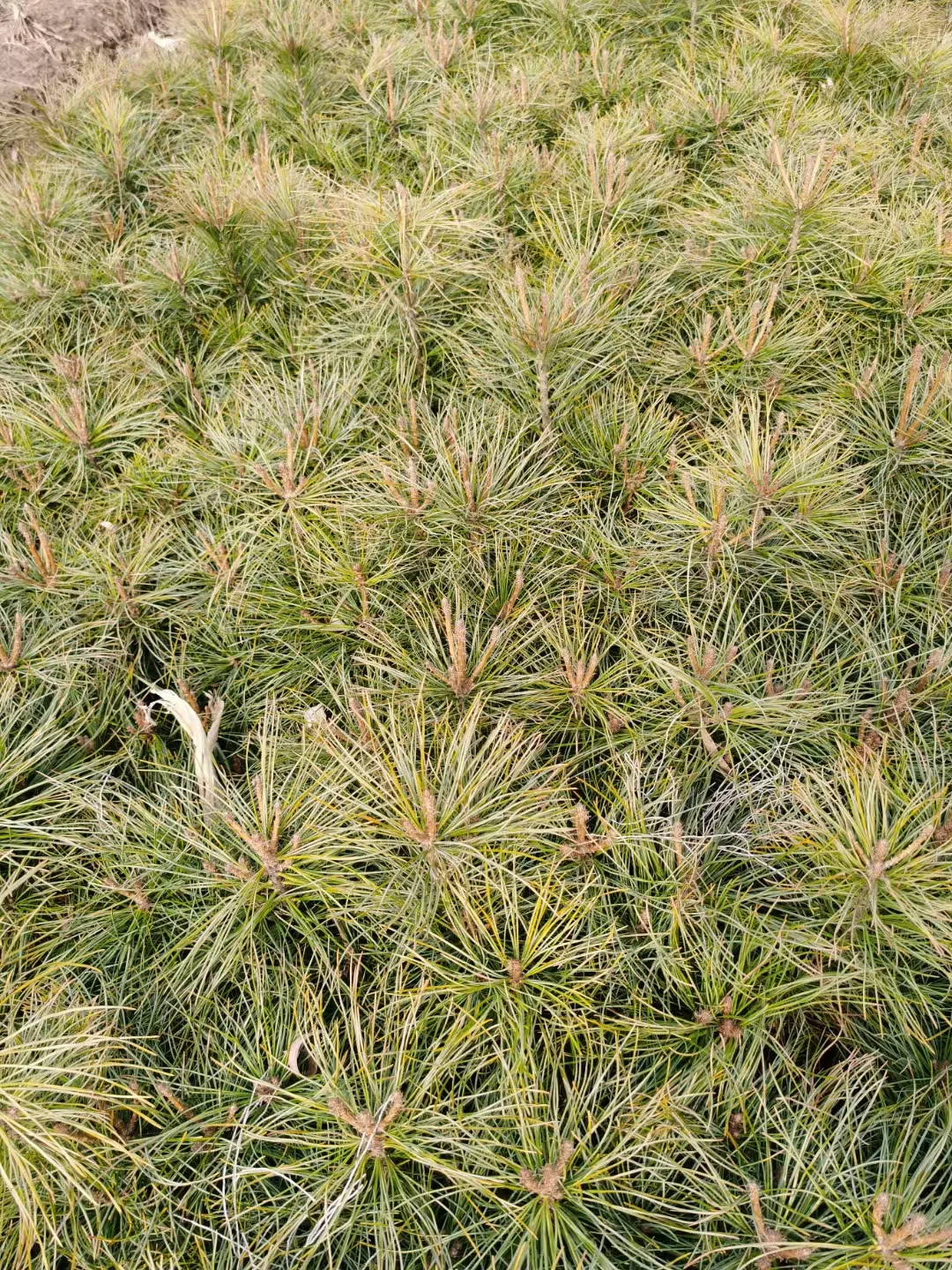 走过路过的各位老板来瞧一瞧看一看