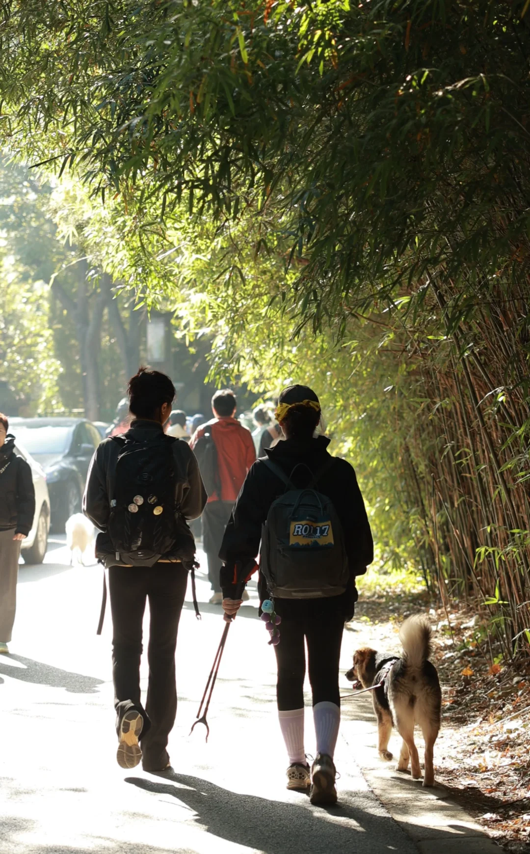 带狗净山被拉夫威尔狠狠圈粉!!