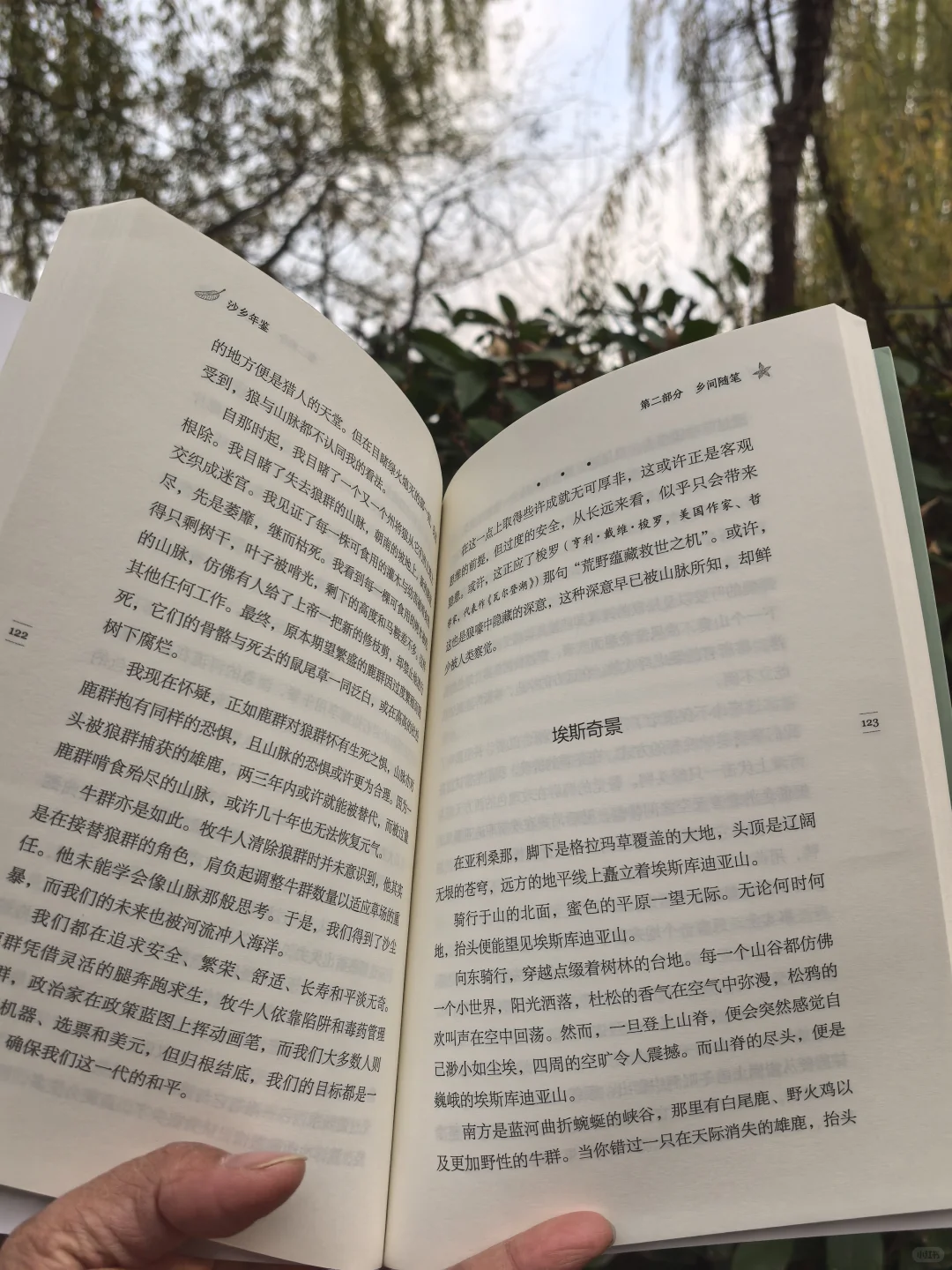 沙乡年鉴