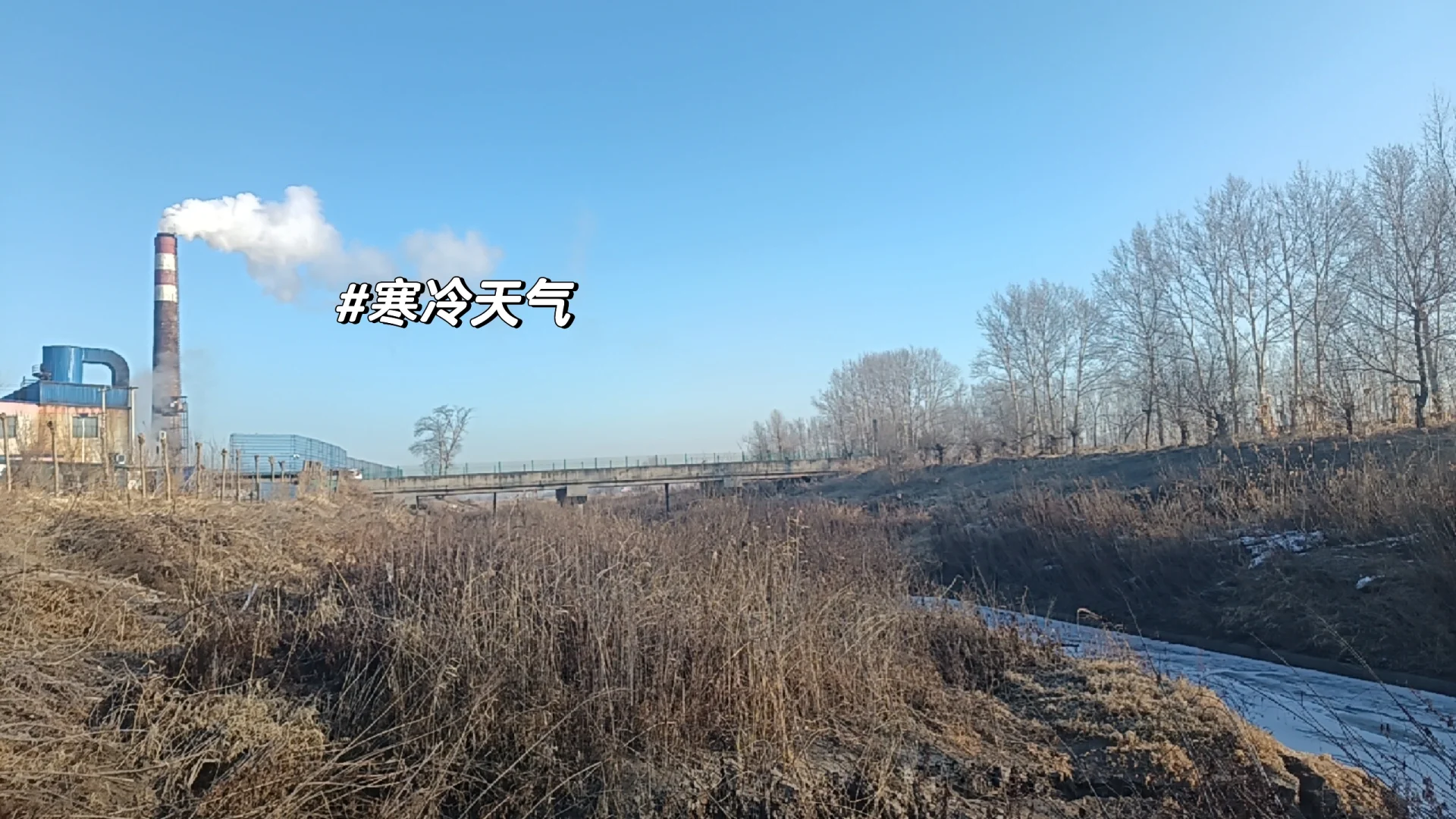 污水厂长日记-星期五?