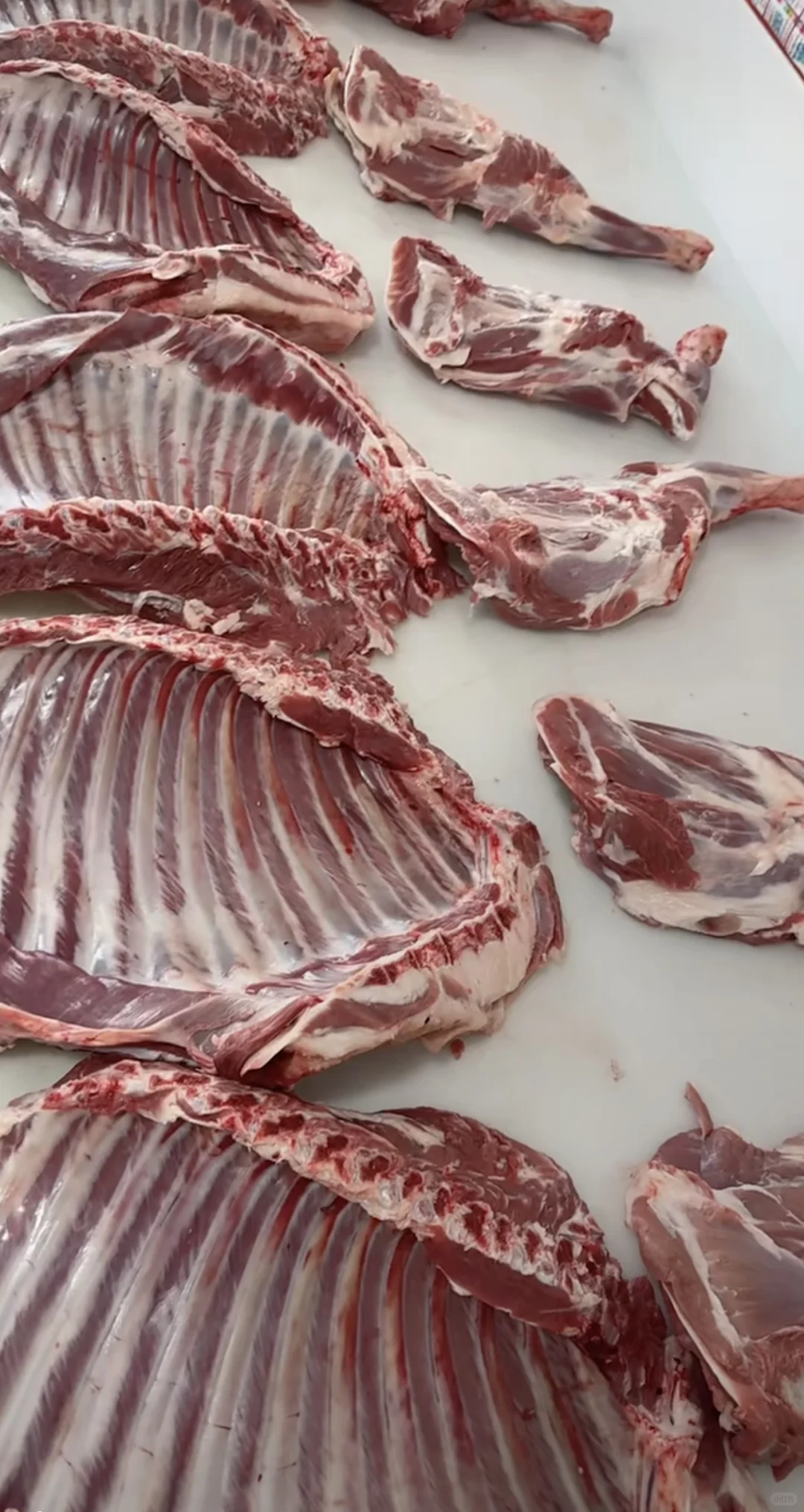 新疆草膘牛羊肉批发???