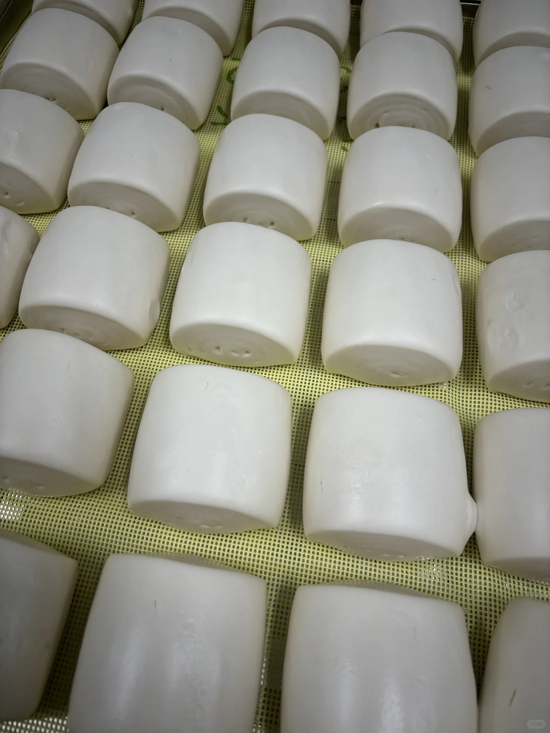 在淄博开了一家馒头工厂