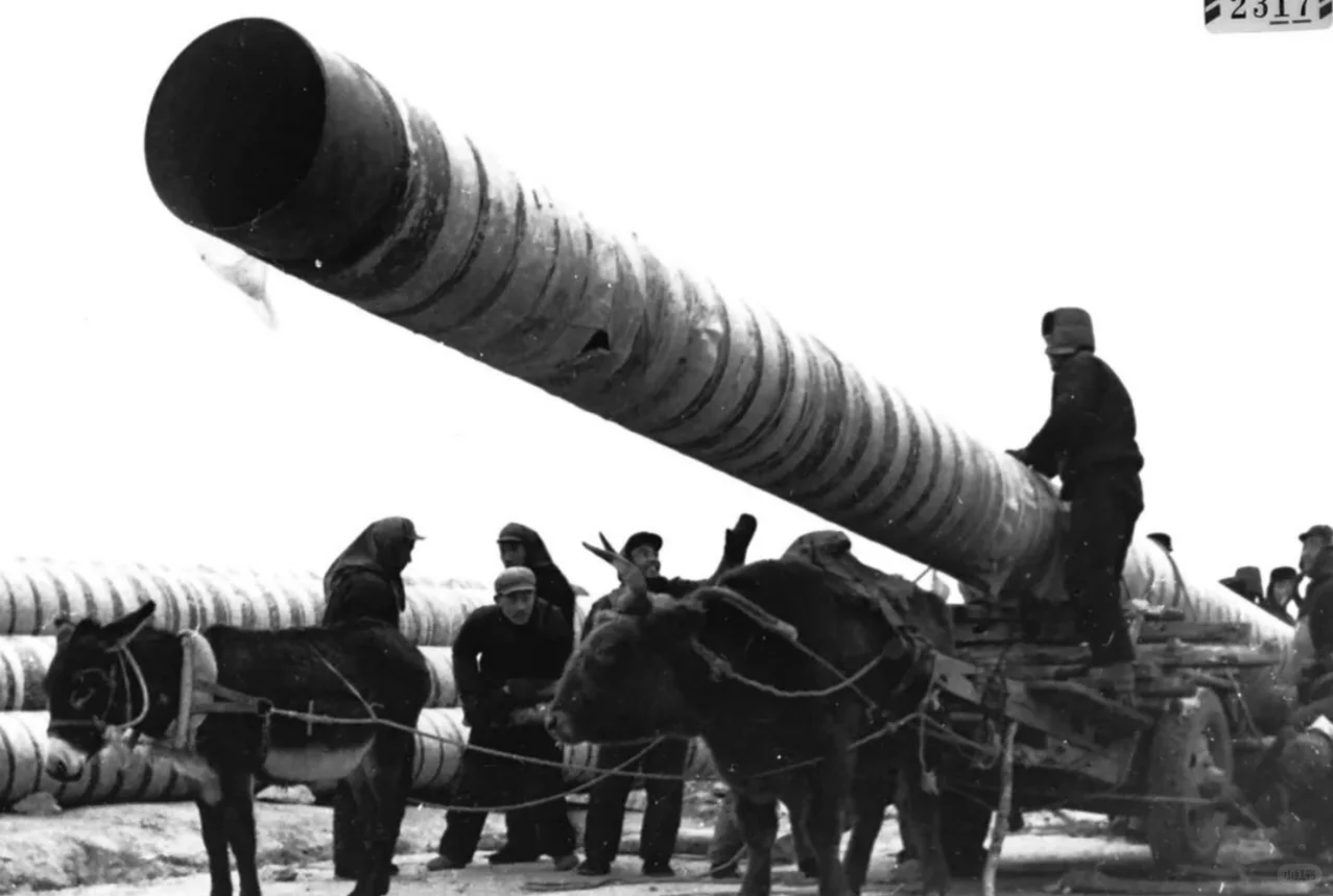 经济上行的保障