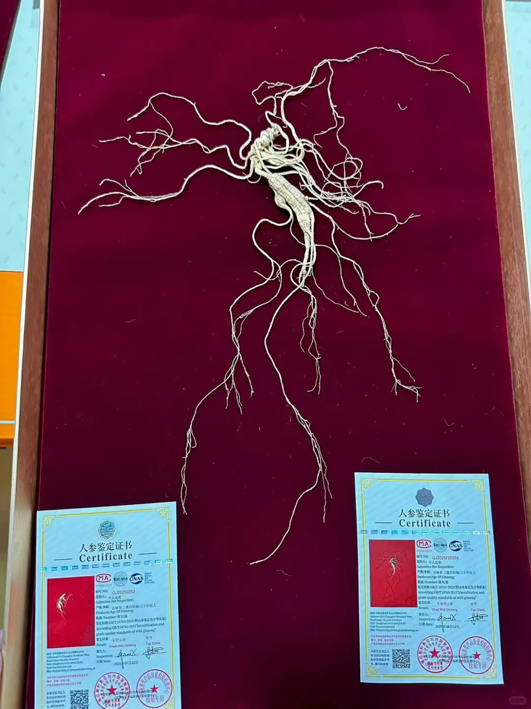 这种货知道为什么给特等证吗？高端局