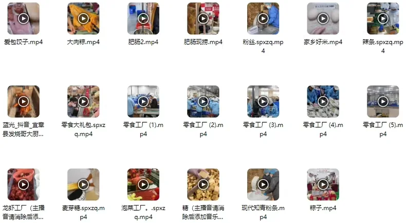 工厂生产线食品零食服装鞋子化妆品加工