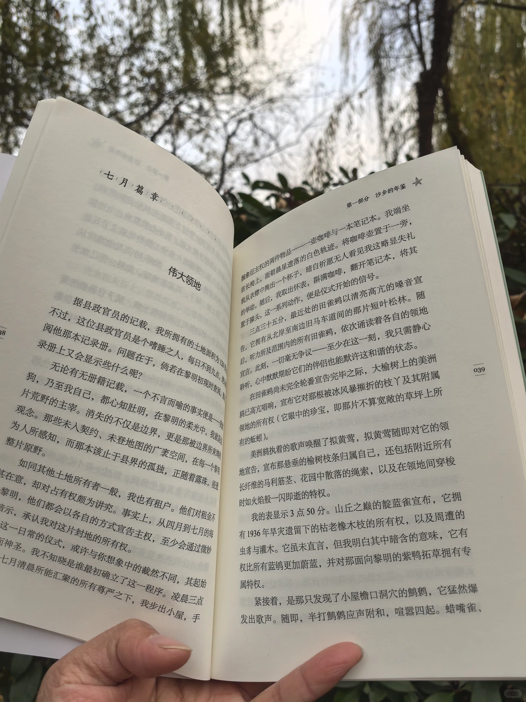 沙乡年鉴