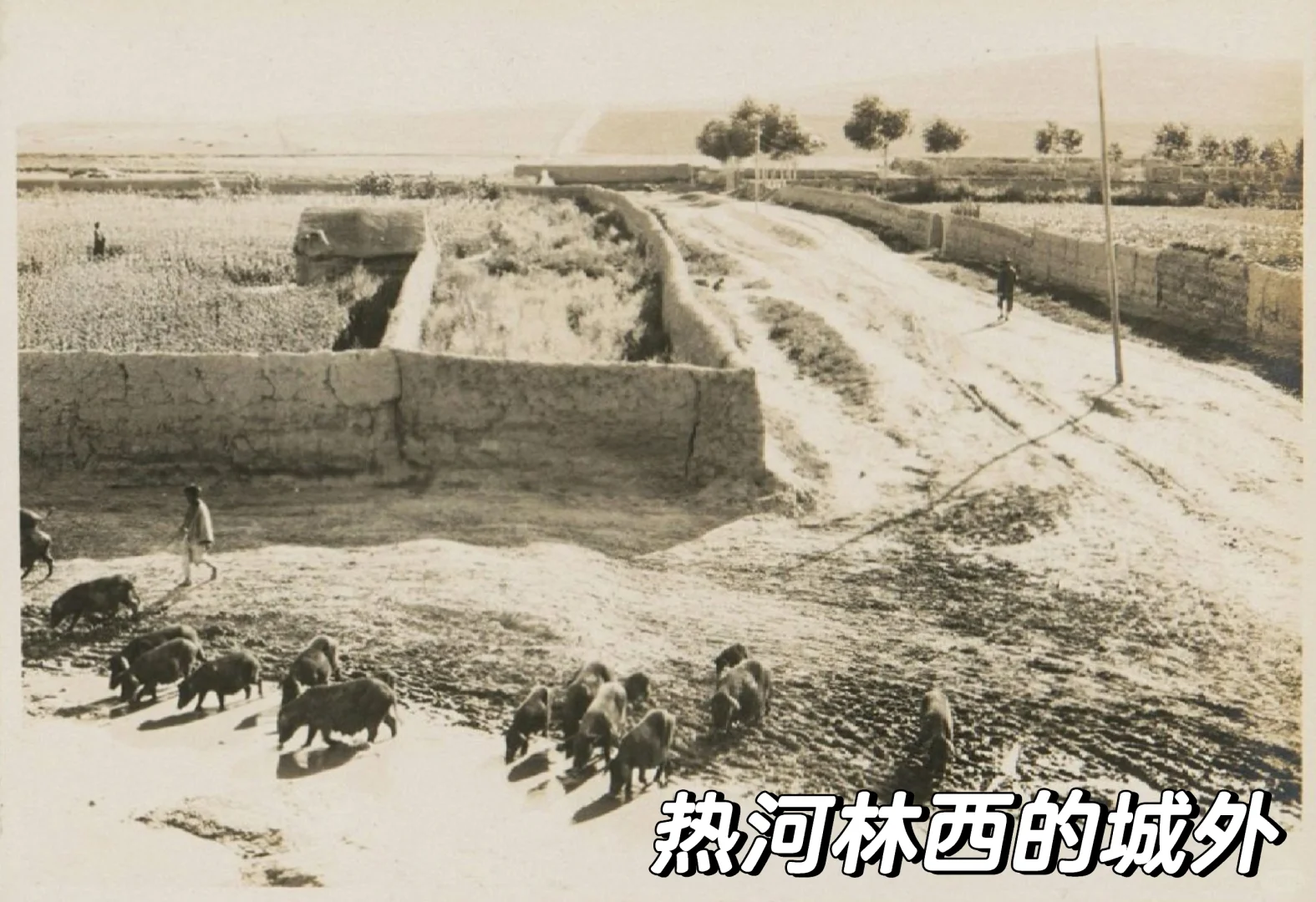 1930年代的内蒙古热河林西的百姓生活