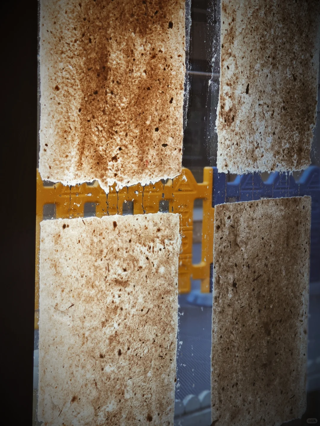 咖啡托的变身记