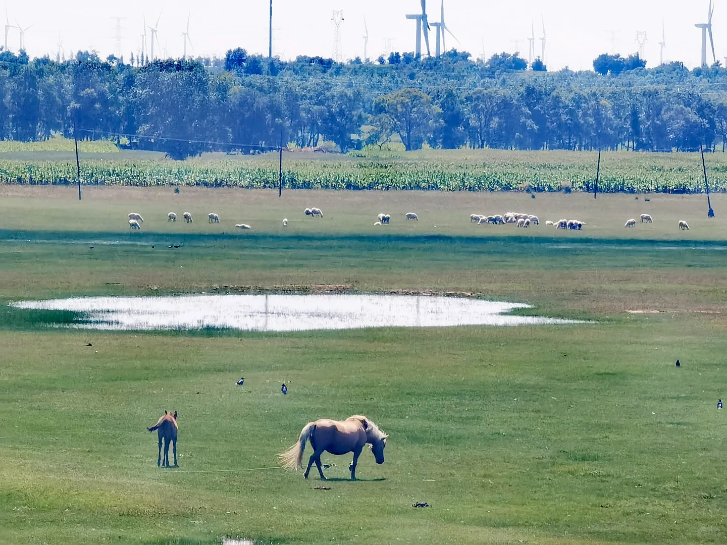 ＃免费 免费 免费公交＃