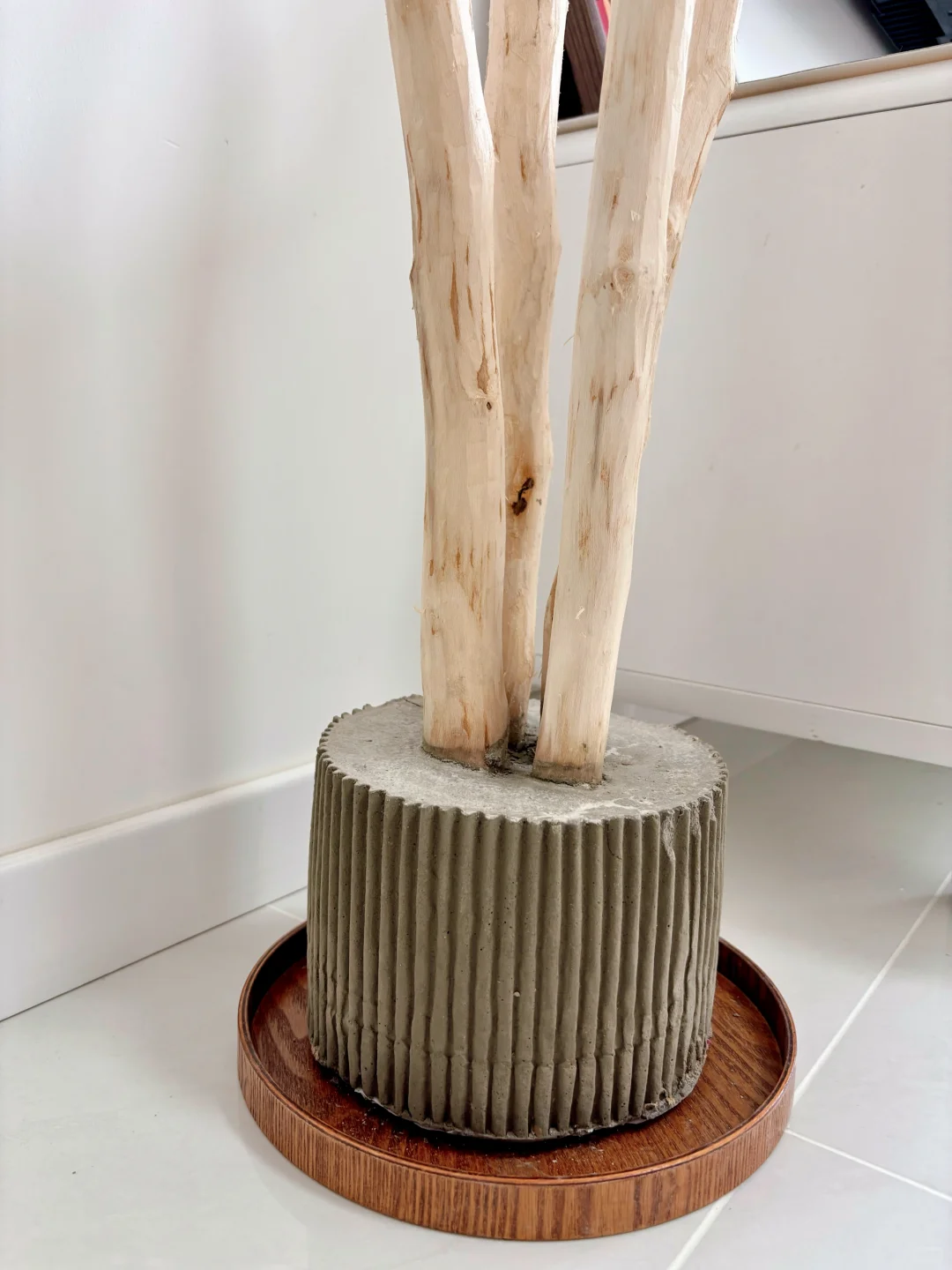 路边的树枝diy 手工