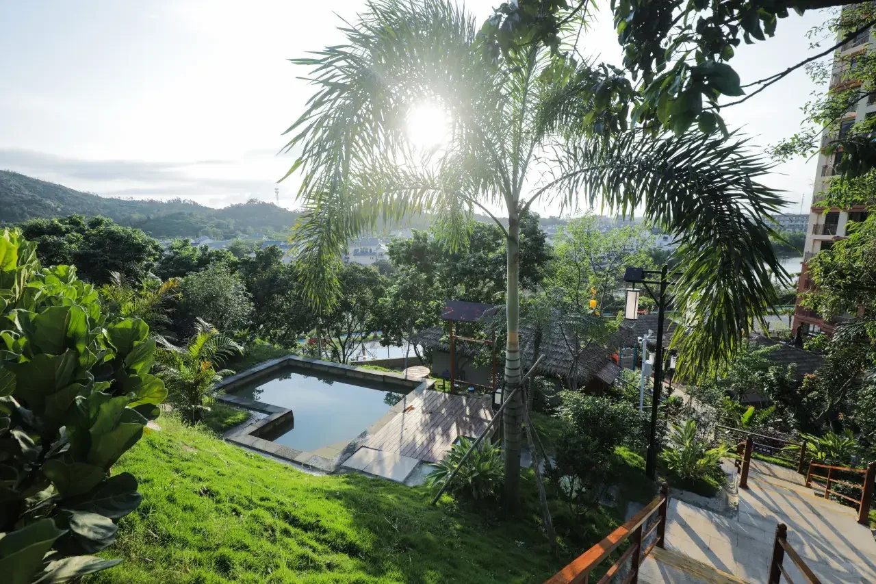 泡半山温泉，玩转熊猫乐园！