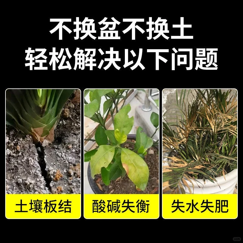 ☀️土壤活化神器，花友必备！