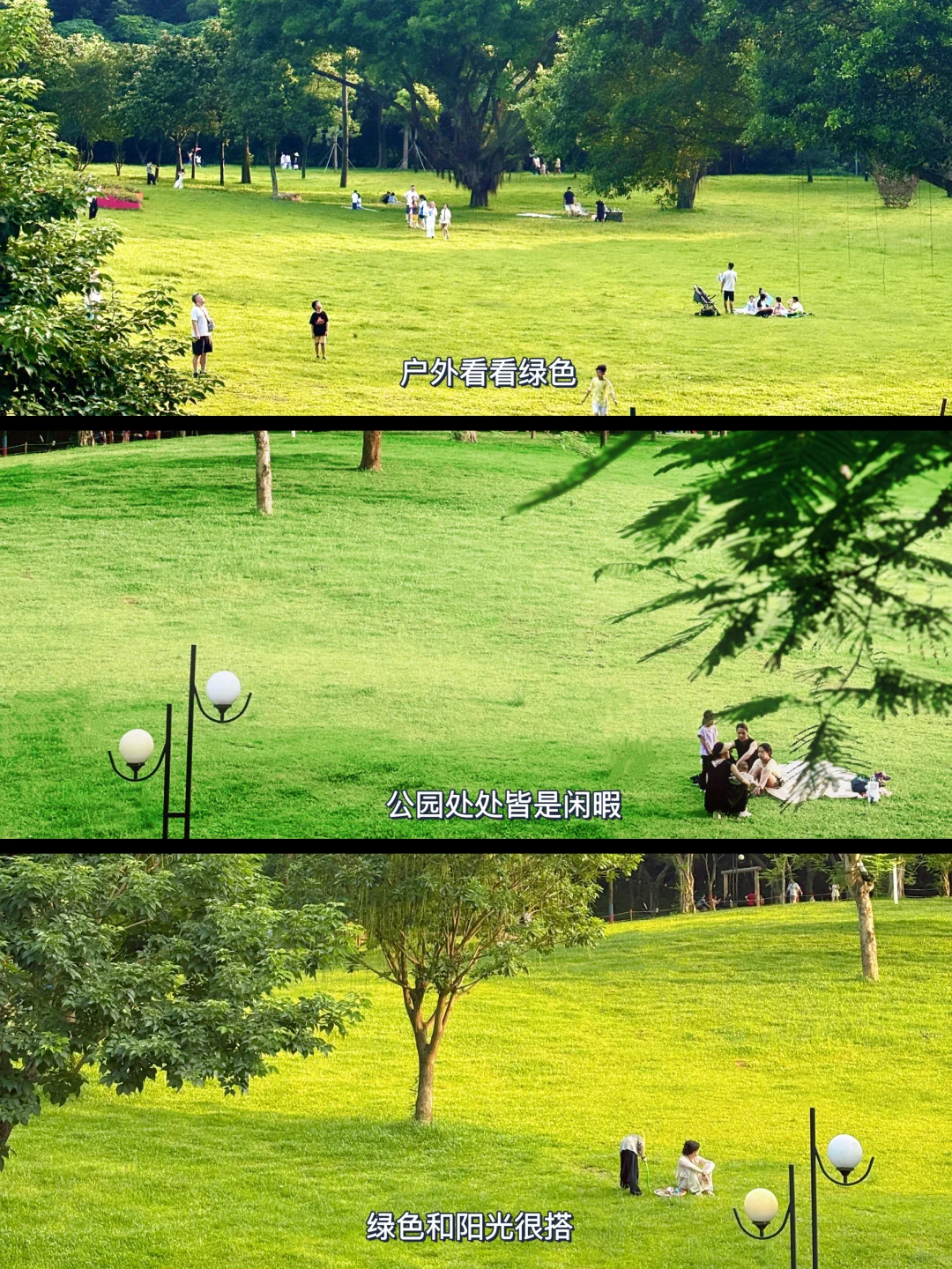 做体.检，不等于做健康管理