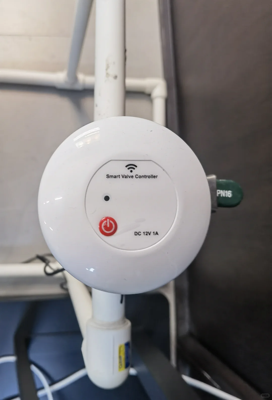 无忧无虑出门玩耍,全靠它俩