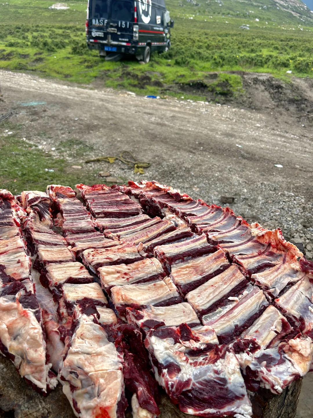青藏高原藏牦牛肉来啦，拒绝❌黄牛肉进口肉