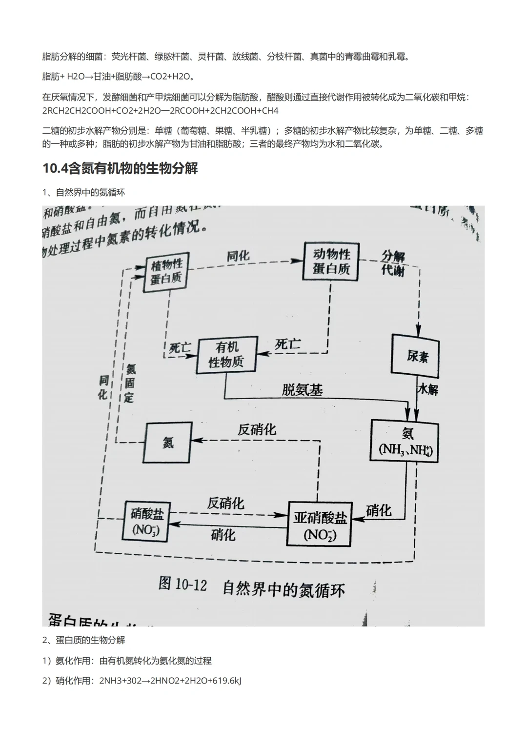 水处理生物学（后半部分）