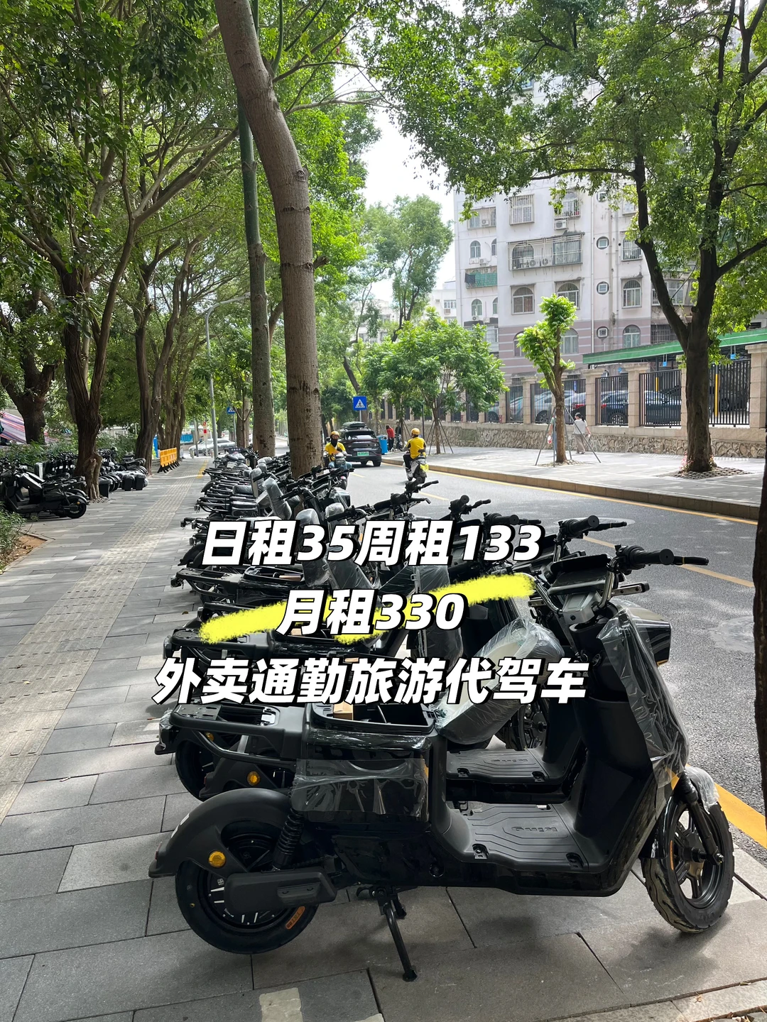 全新电动车出租,日租35?周租133?月租330