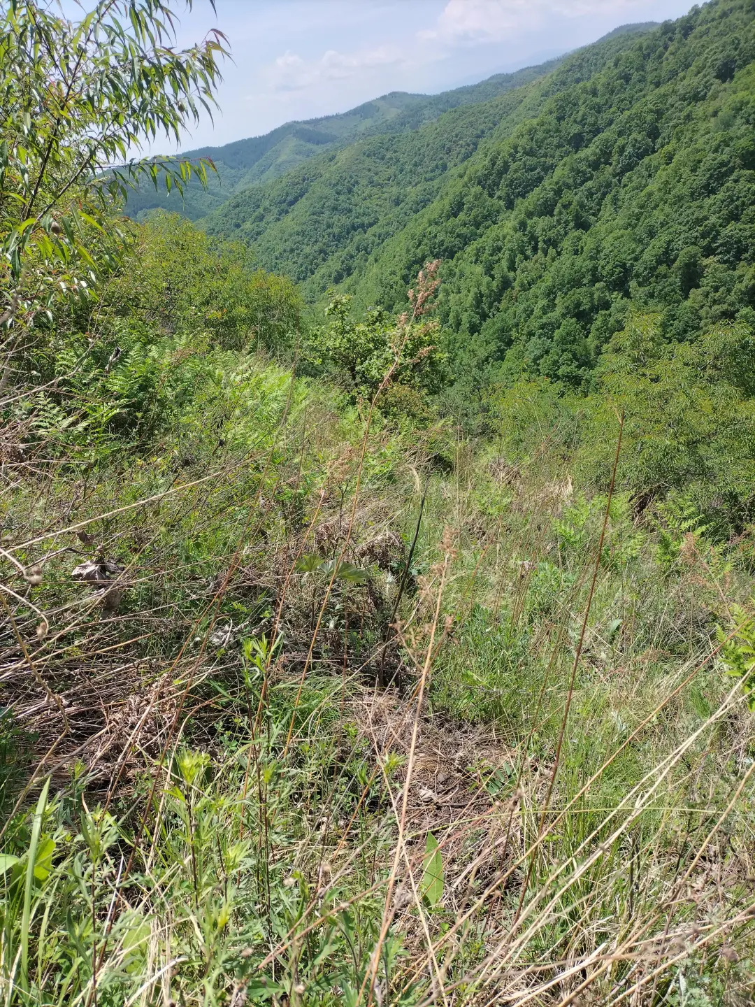 〖太原光伏厂招聘车间自动化设备操〖太原光