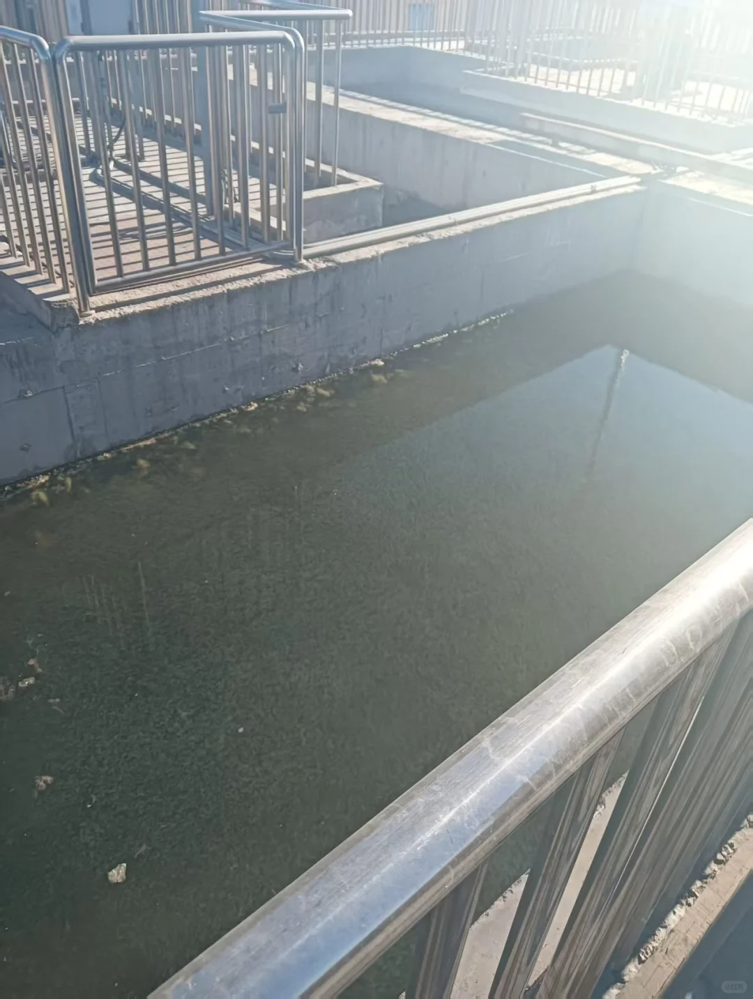 污水厂长日记-星期五?