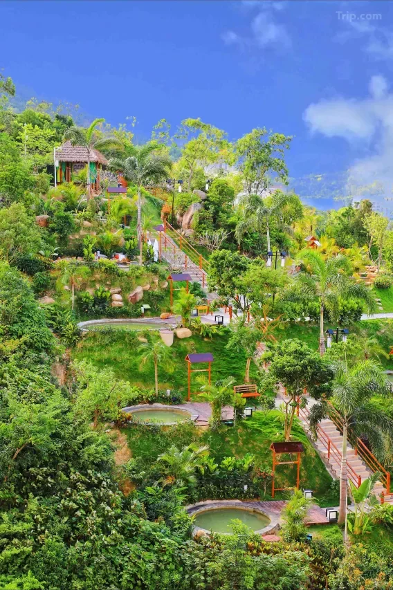 泡半山温泉，玩转熊猫乐园！