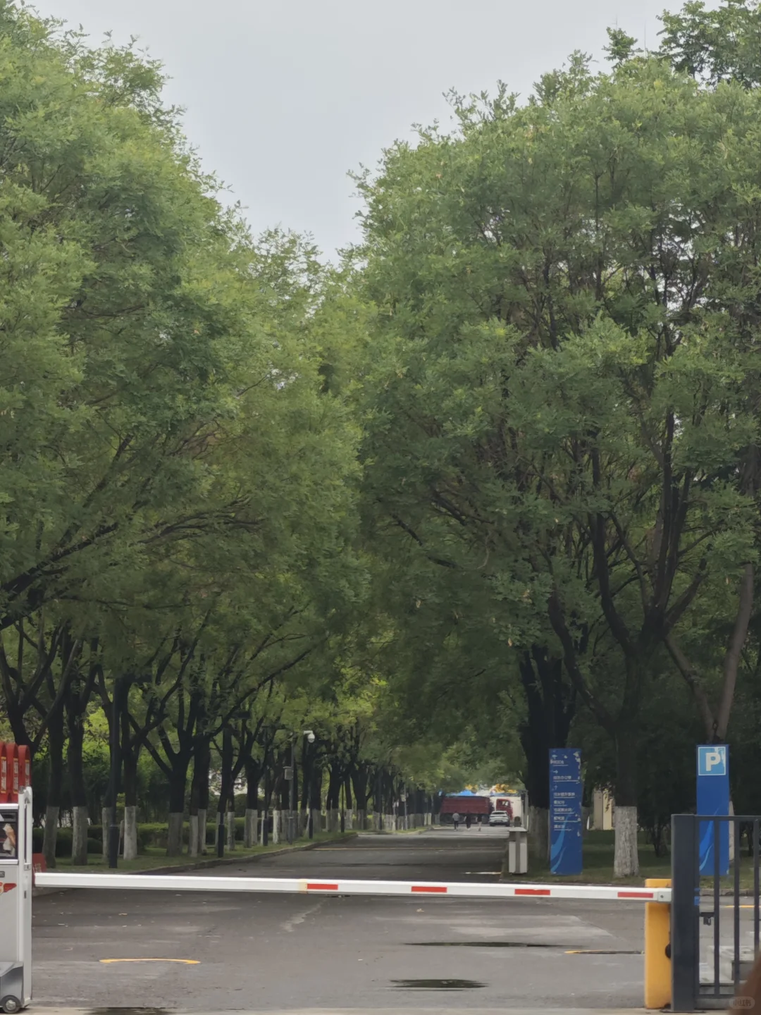 外贸厂家看过来，需要产品