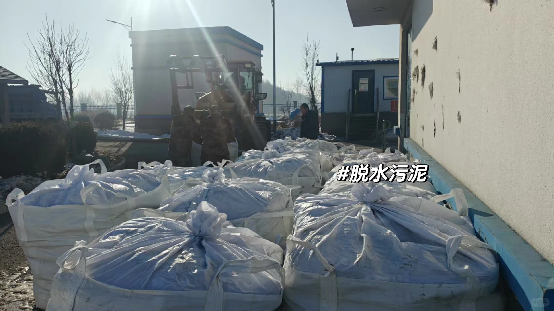 污水厂长日记-星期五?