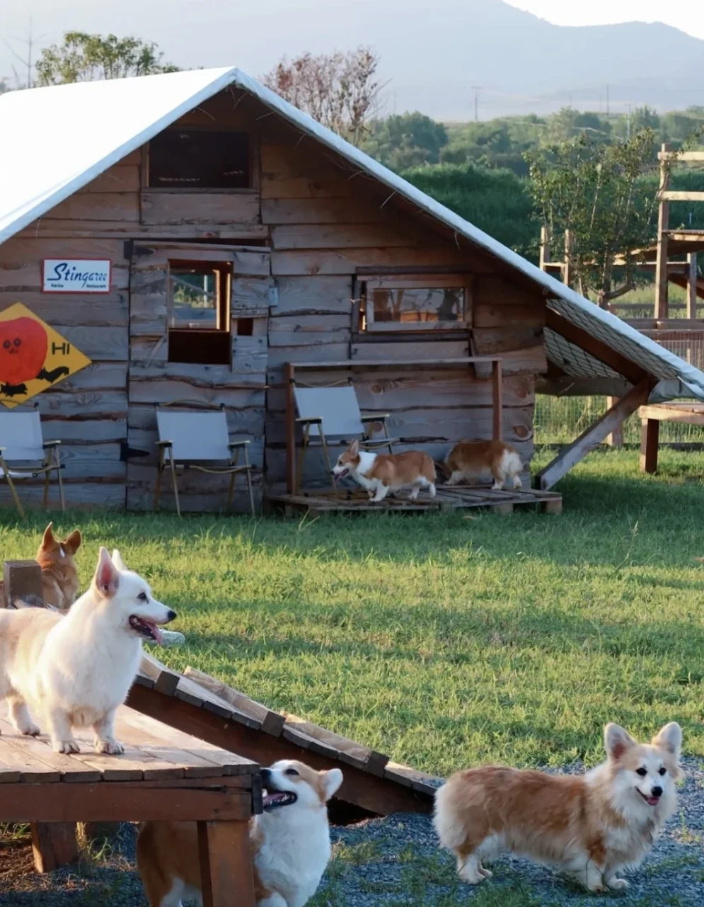 农文旅/农庄策划起盘怎么选一个赚钱的项目?
