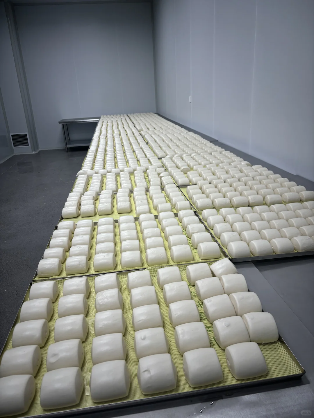 在淄博开了一家馒头工厂