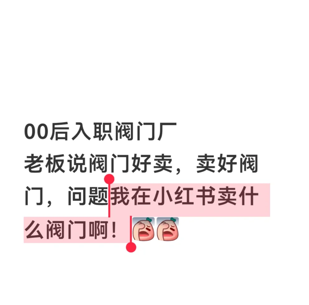 00后入职工厂卖阀门