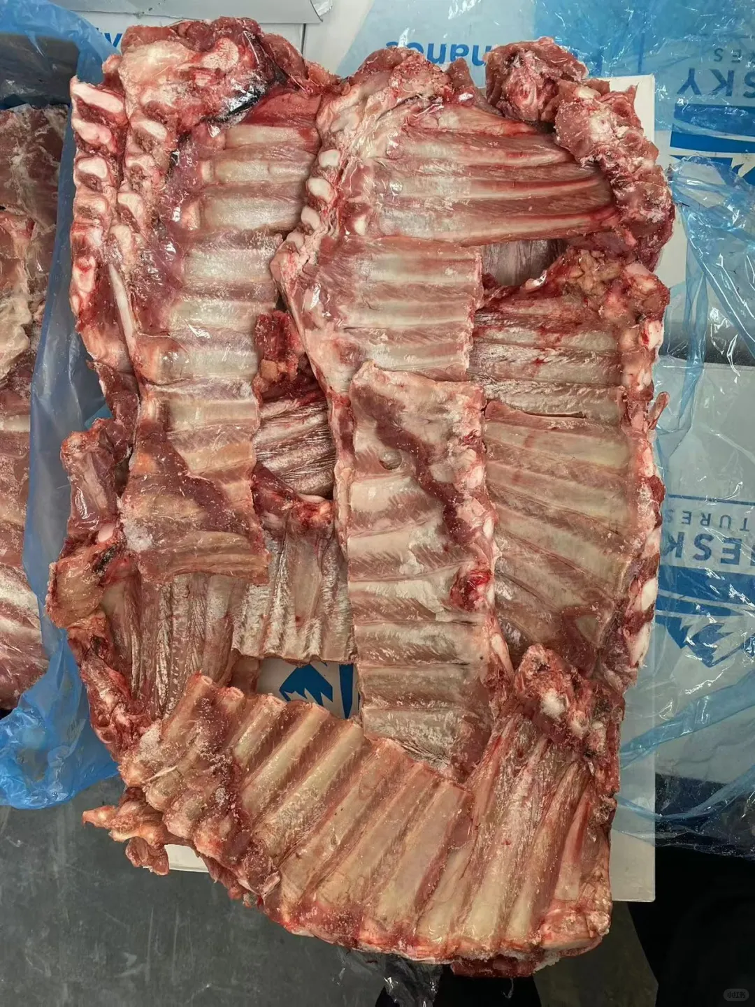 新西兰80犊牛产品