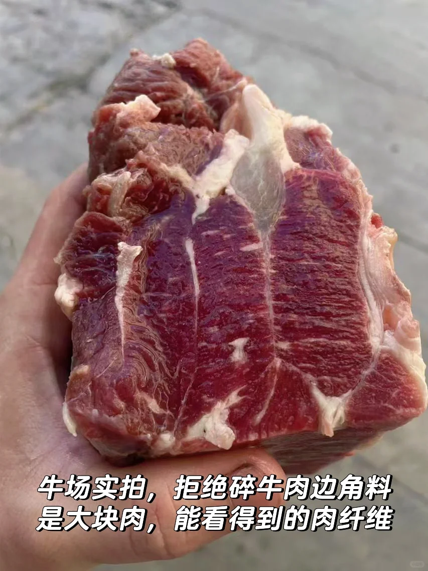 给狗吃的牛肉 大块牛肉